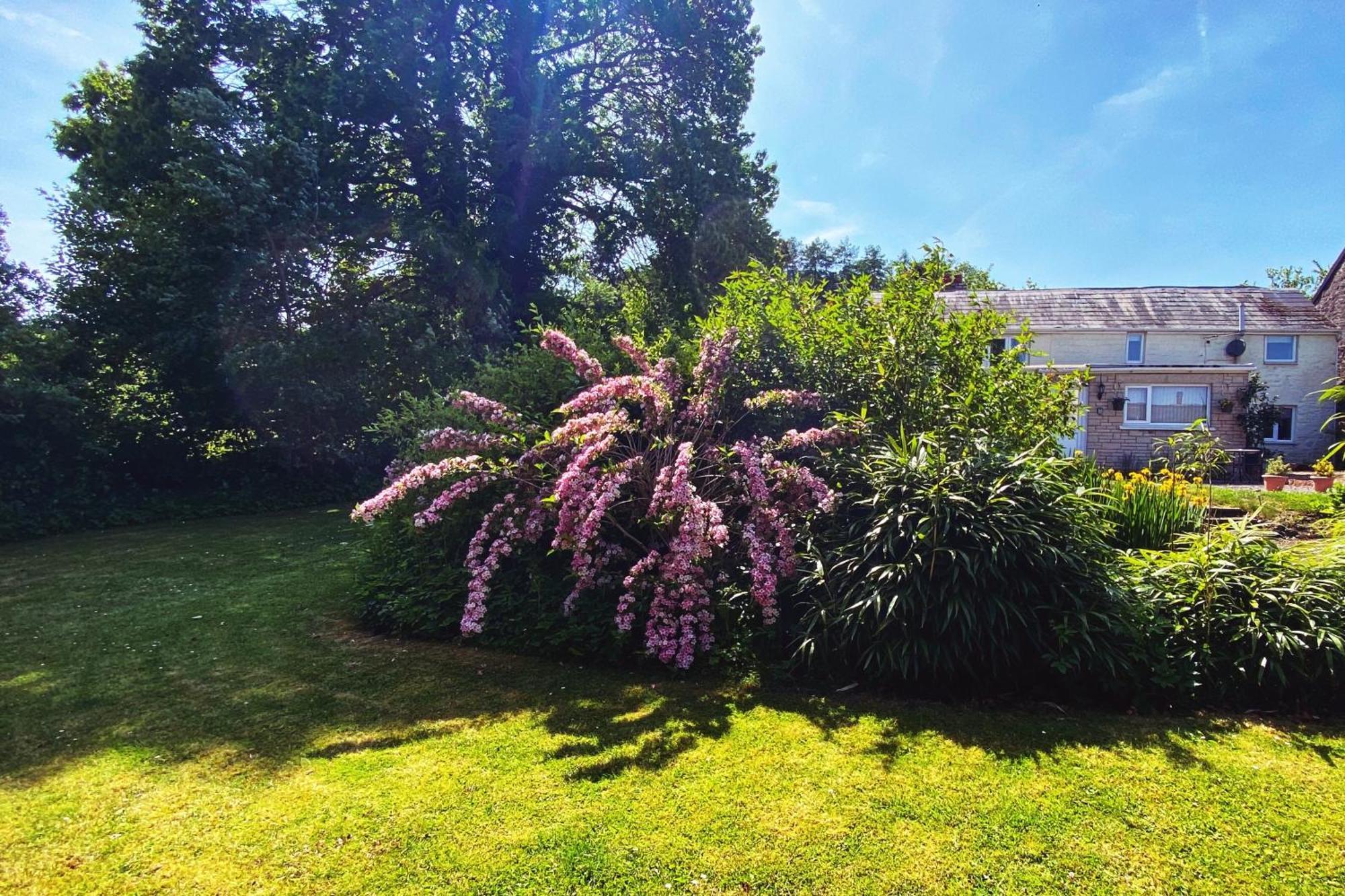 Silhouette Cottage Coleford  Exterior foto